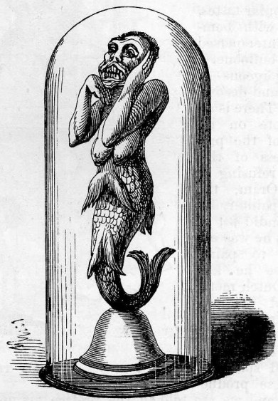 GeorgianEraMermaid-Fake-Chimera_300dpi