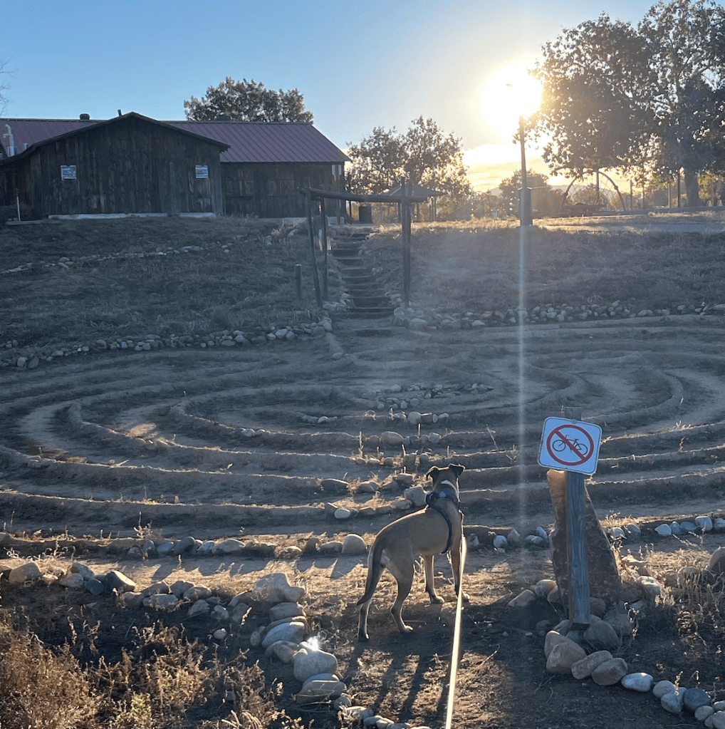Dog facing a labyrinth at sunrise
